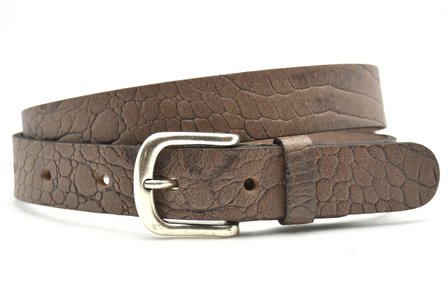 3cm taupe riem U30874