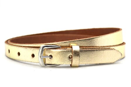 2 cm gouden riem 62001