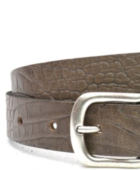 3cm taupe riem U30874