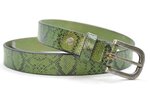 2,5 cm dames riem groen 254